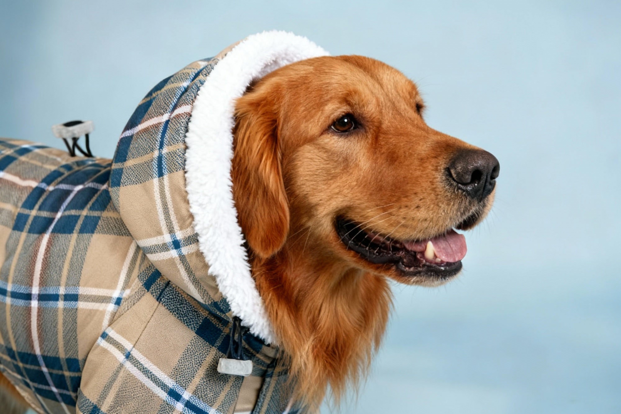 KYN Hoodie printed coat